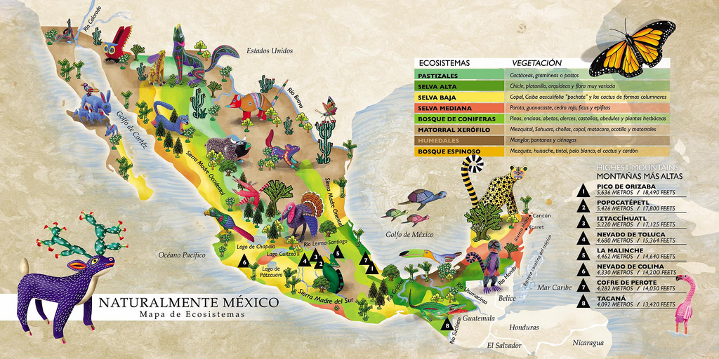 mapa-biodiversidad-de-mexico