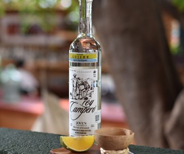 Rey Campero Mezcal Cuishe